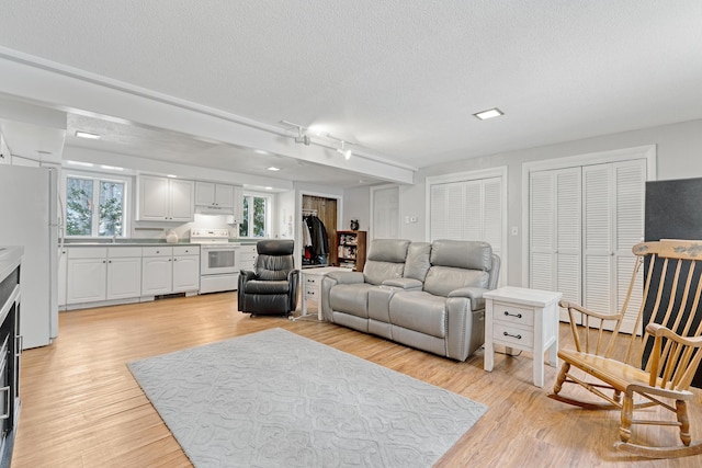 living room featuring light wood-style floors and a textured ceiling