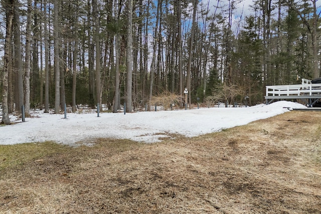 yard layered in snow featuring a wooded view