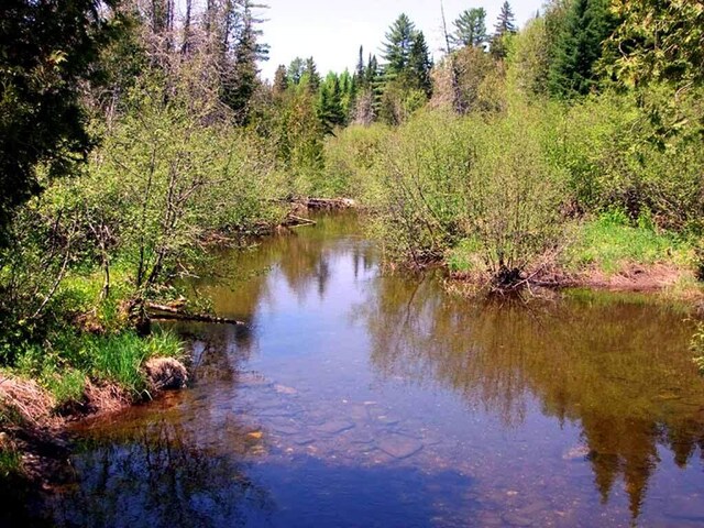 496 Fullerton Rd, Monticello, ME 04760 - photo 27