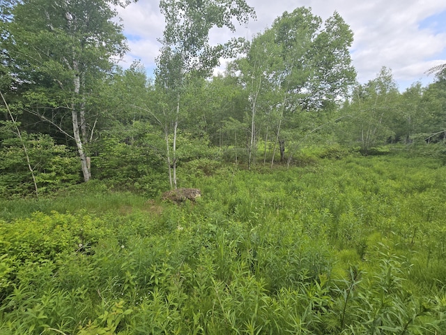 496 Fullerton Rd, Monticello, ME 04760 - photo 16