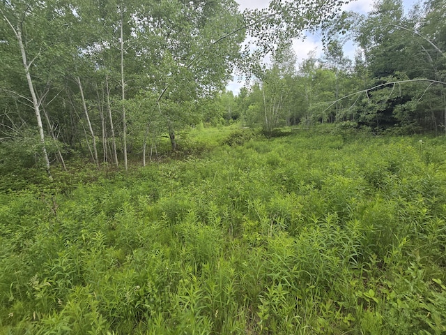 496 Fullerton Rd, Monticello, ME 04760 - photo 15