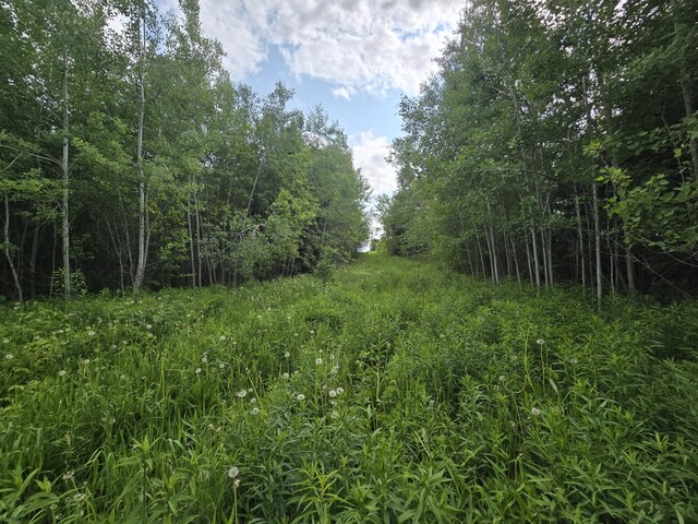496 Fullerton Rd, Monticello, ME 04760 - photo 4