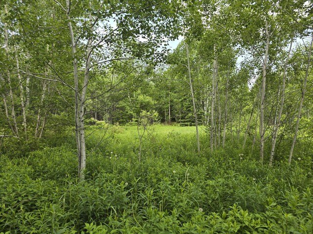 496 Fullerton Rd, Monticello, ME 04760 - photo 17