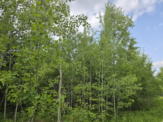 496 Fullerton Rd, Monticello, ME 04760 - photo 18