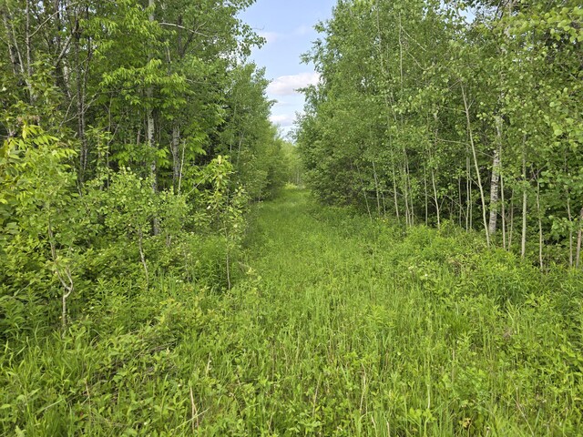 496 Fullerton Rd, Monticello, ME 04760 - photo 14