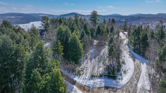 LOT9 Oak Hill Dr, Woodstock ME, 04219 land for sale