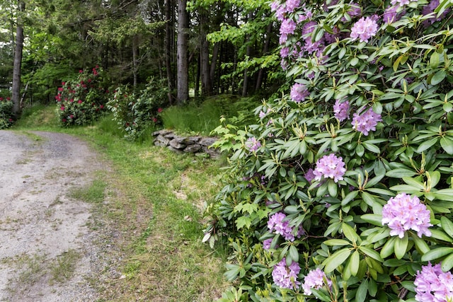 44 Periwinkle Ln, Phippsburg, ME 04562 - exterior space