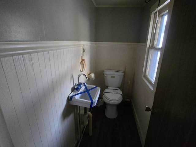 bathroom featuring a sink, toilet, plenty of natural light, and wainscoting