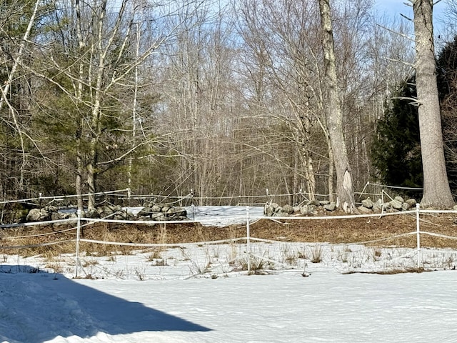 view of yard layered in snow