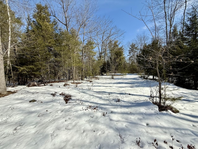 view of yard layered in snow