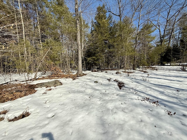 view of yard layered in snow