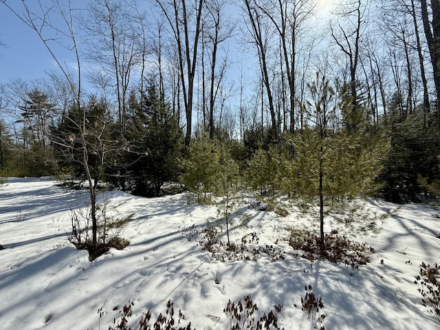 view of snowy view