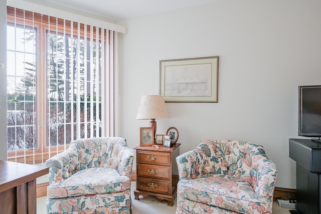 sitting room with light carpet