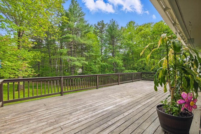 248 Sam Allen Rd, Sanford, ME 04073 - photo 75