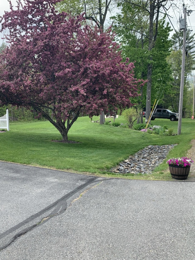 view of property's community featuring a lawn and fence