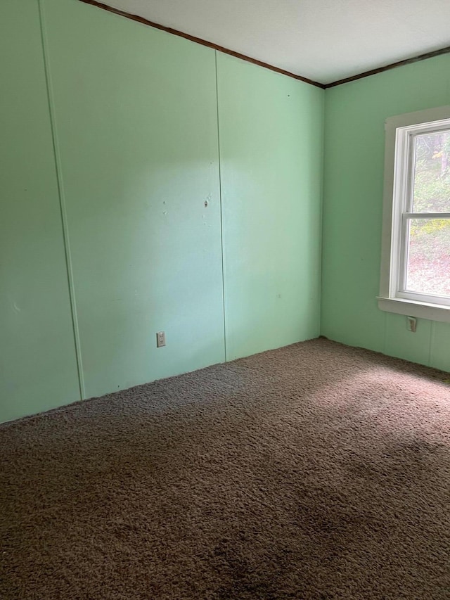 carpeted empty room featuring ornamental molding