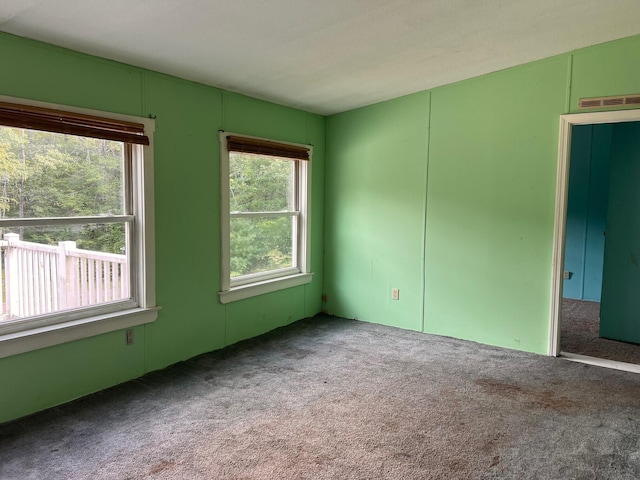 carpeted spare room with visible vents
