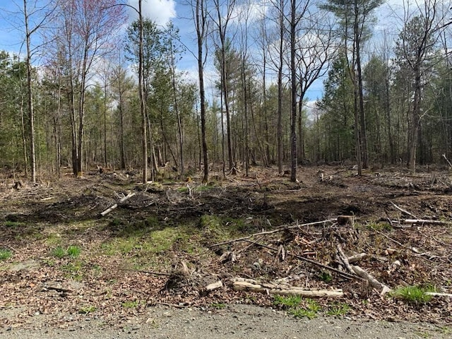 R2L15C Drury Rd, Solon, ME 04979 - photo 27