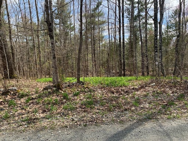 R2L15C Drury Rd, Solon, ME 04979 - photo 1