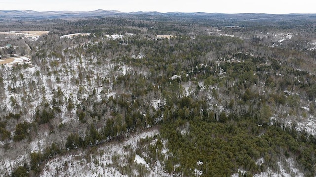 R2L15C Drury Rd, Solon, ME 04979 - photo 9