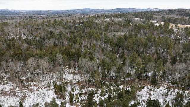 R2L15C Drury Rd, Solon, ME 04979 - photo 16