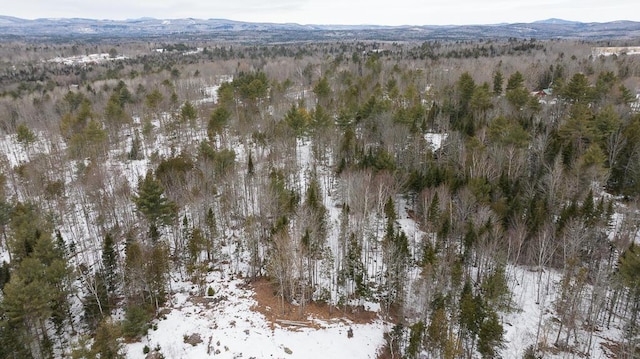 R2L15C Drury Rd, Solon, ME 04979 - photo 19