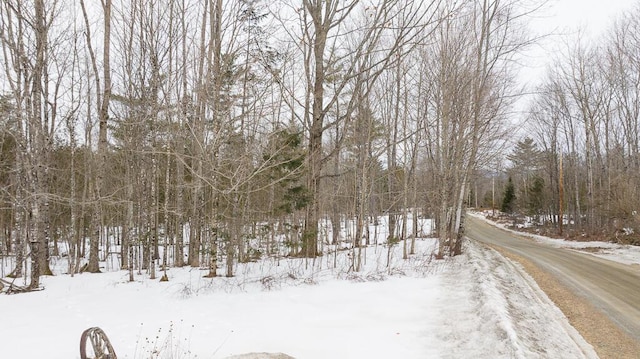 R2L15C Drury Rd, Solon, ME 04979 - photo 22