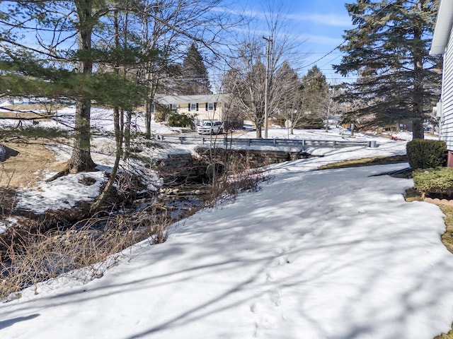 view of yard covered in snow