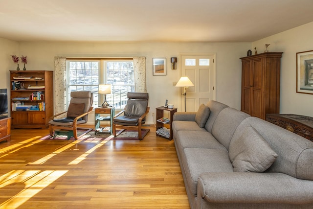 living room featuring light wood finished floors