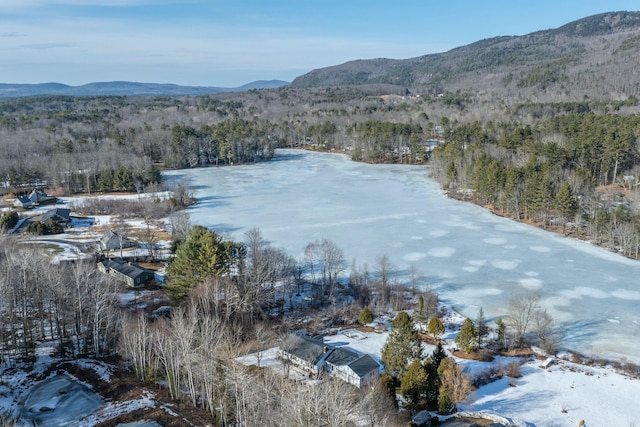 water view with a mountain view and a wooded view