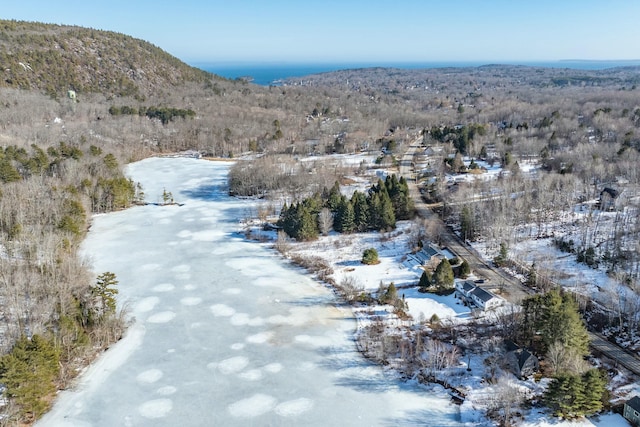 snowy aerial view featuring a wooded view and a mountain view