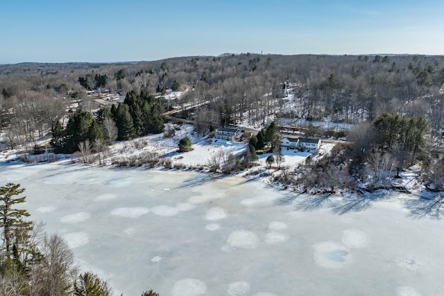 snowy aerial view with a view of trees