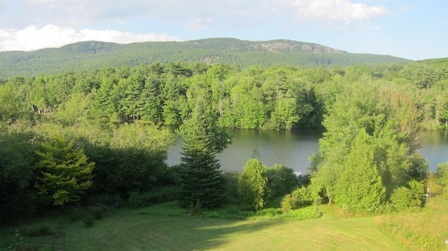 bird's eye view with a forest view and a water and mountain view