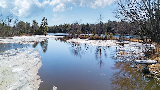 property view of water featuring a forest view