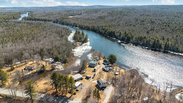 bird's eye view with a water view and a view of trees