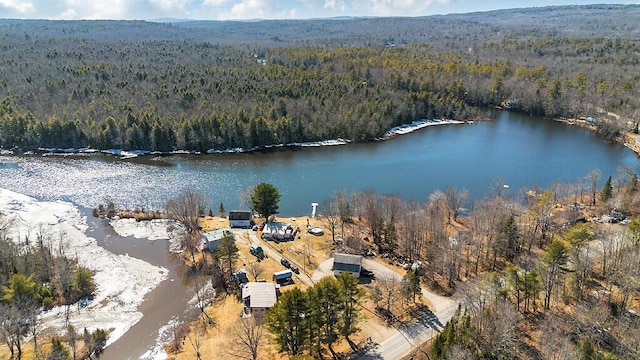 aerial view with a water view and a view of trees
