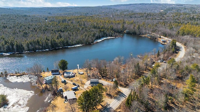 birds eye view of property featuring a water view and a forest view