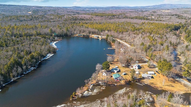 bird's eye view featuring a water and mountain view and a view of trees