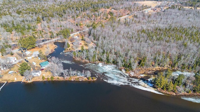 aerial view with a water view and a wooded view