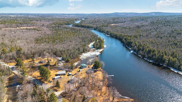birds eye view of property with a water view and a view of trees