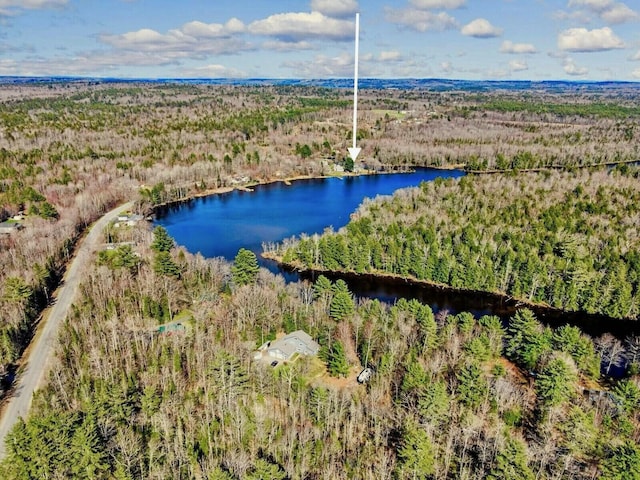 birds eye view of property featuring a water view and a view of trees