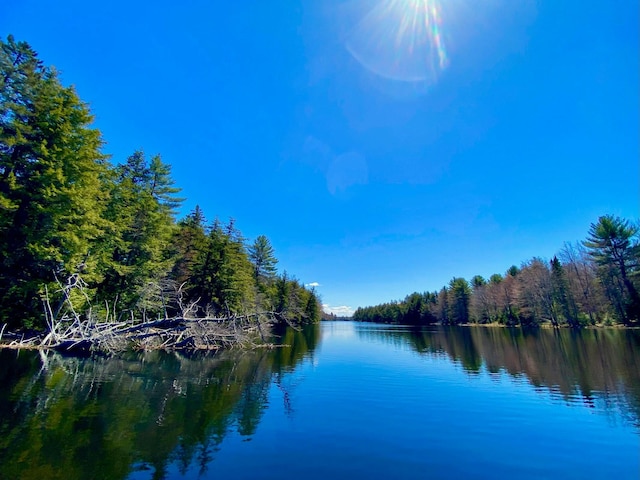 water view featuring a wooded view