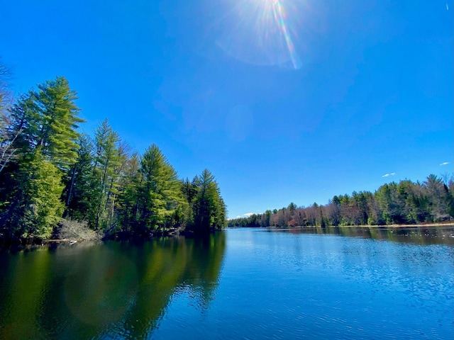 water view featuring a forest view