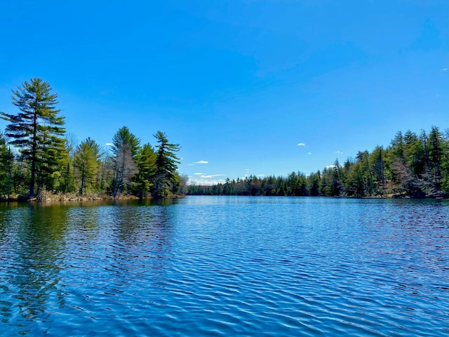 property view of water with a forest view