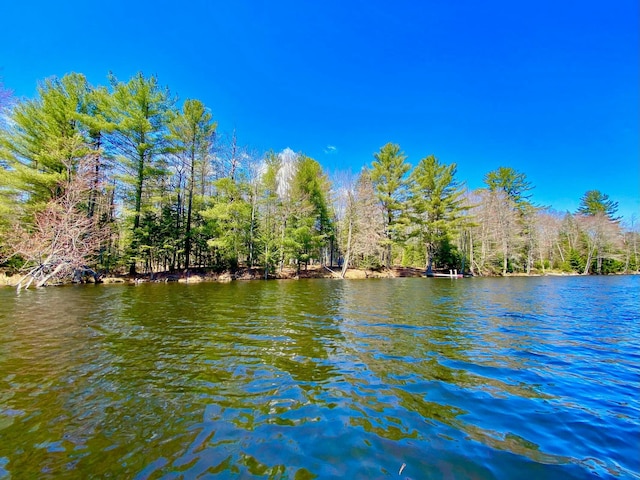 property view of water featuring a wooded view