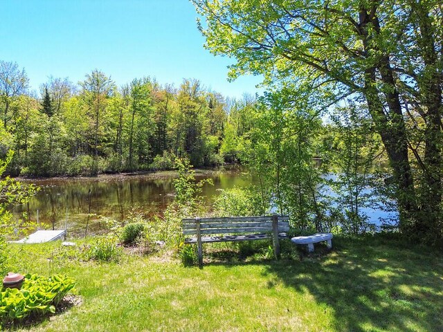 12 Town Line Rd, Belgrade, ME 04917 - view of yard with a water view