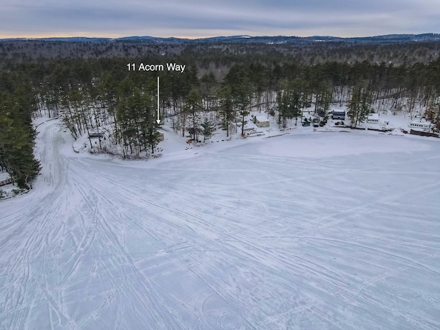 snowy aerial view featuring a view of trees