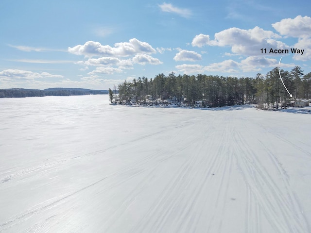 water view featuring a wooded view