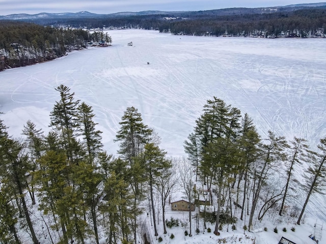 snowy aerial view with a forest view and a mountain view