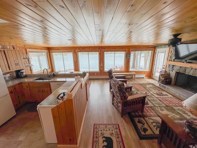 kitchen featuring a stone fireplace, a healthy amount of sunlight, light wood finished floors, and a sink